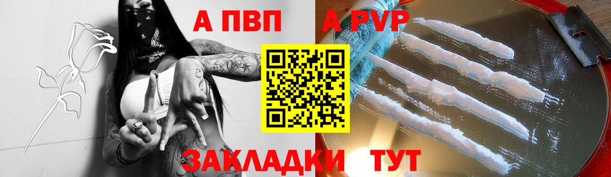 Alfa_PVP СК КРИС Вятские Поляны