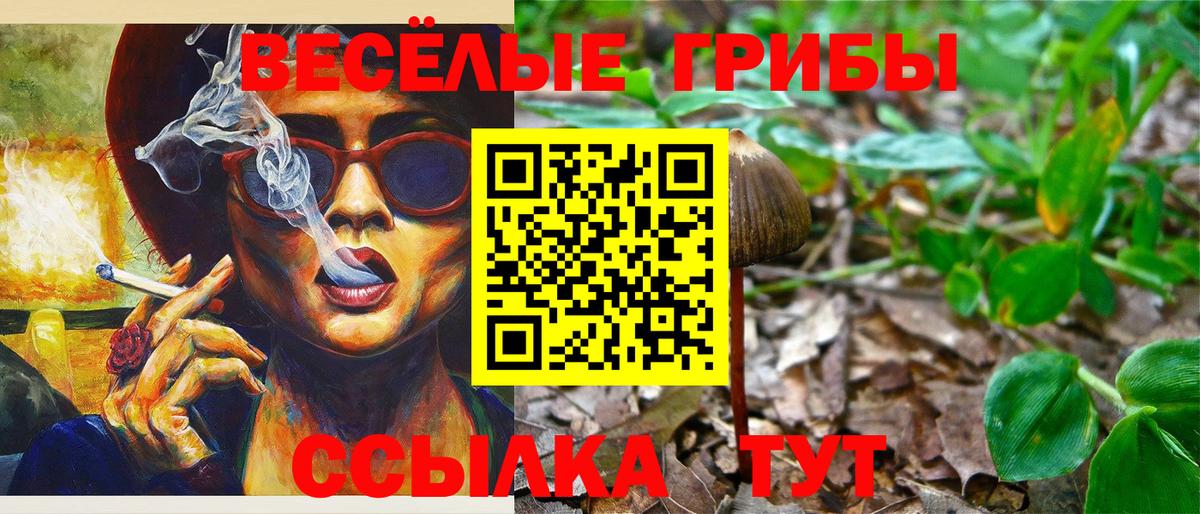 Галлюциногенные грибы Psilocybe Вятские Поляны