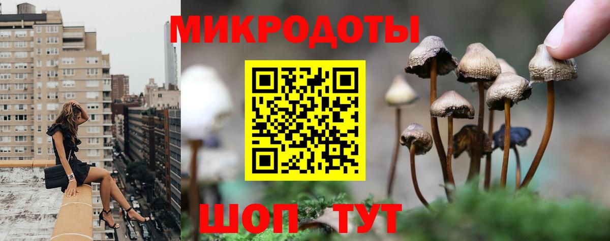 Псилоцибиновые грибы прущие грибы  Вход с VPN  Вятские Поляны 
